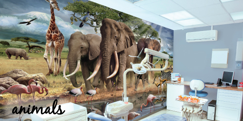 animal murals