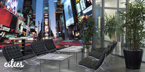 city murals